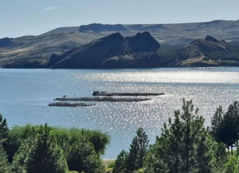 Los datos ratifican el liderazgo de la provincia en la producción de trucha. El crecimiento del sector, la incorporación de valor agregado y la expansión del mercado interno y las exportaciones consolidan a Neuquén como referente de la acuicultura.