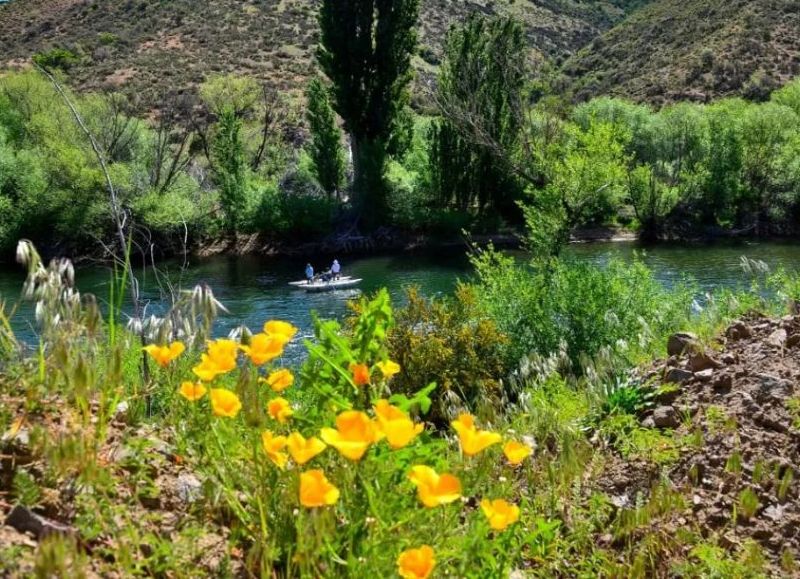 Pilo Lil, donde la roca guarda memoria y el camino abre futuro