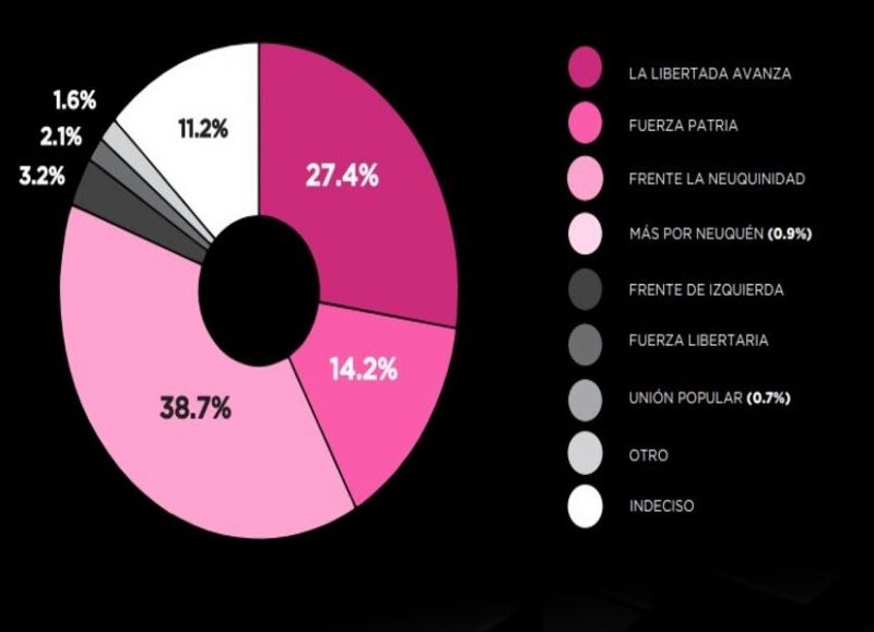 Disputa por las bancas nacionales en la provincia: Frente La Neuquidad lidera la intención de voto