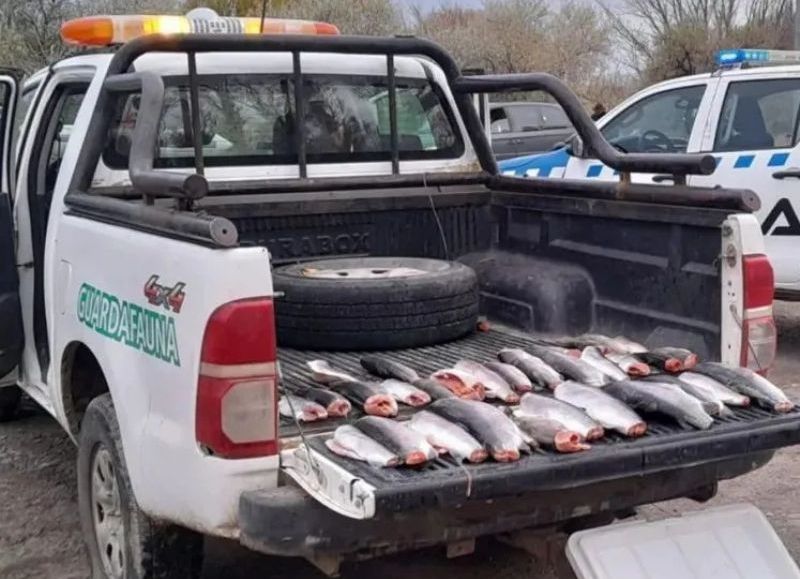 Neuquén refuerza la seguridad rural y ambiental con el control de la fauna silvestre