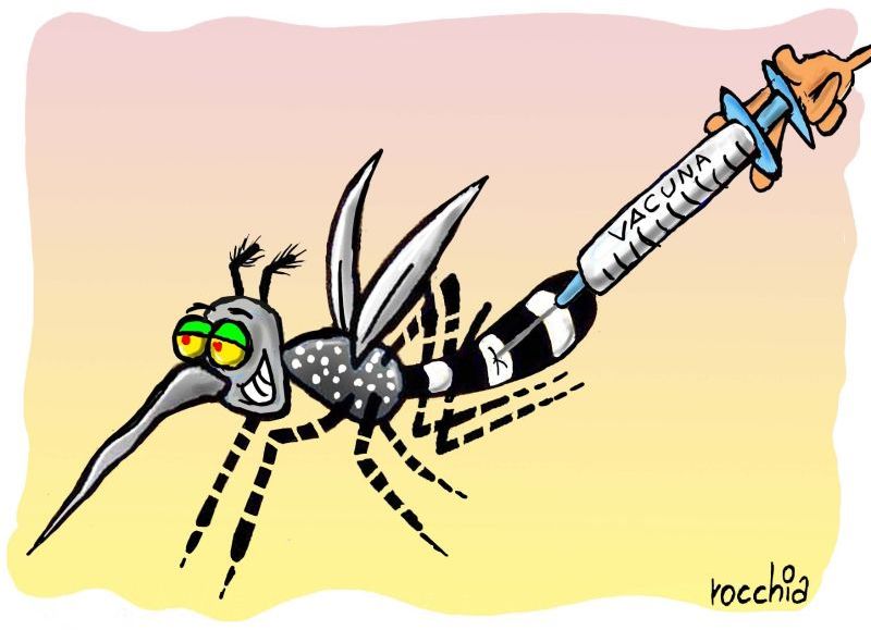 Animales ponzoñosos e insectos: cómo prevenir mordeduras o picaduras