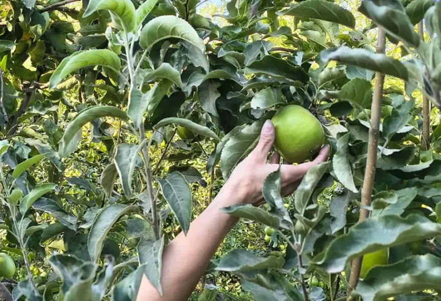 El sector frutícola respaldó el proyecto de ley para proteger las tierras productivas bajo riego
