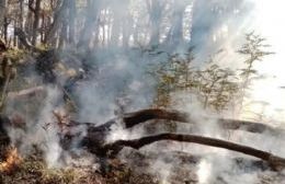 Incendio forestal bajo control en el Parque Nacional Lanín