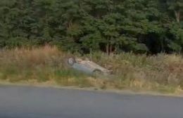 VIDEO | Fatal accidente en Ruta 22: un hombre volcó cerca de Arroyito y perdió la vida