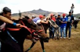 Detenido por tentativa de homicidio tras violento incidente en carrera clandestina de caballos
