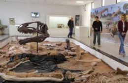Villa El Chocón: se presentó uno de los dinosaurios de cuello largo más grandes del mundo 