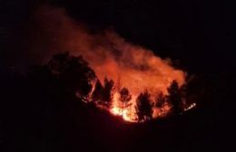 VIDEO | Aumentan los incendios forestales en Parque Norte de Neuquén: vecinos y autoridades en alerta