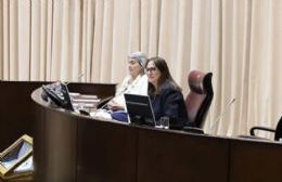 Se realizó la primera sesión de la Legislatura sin la vicegobernadora Gloria Ruiz