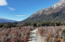 Más del 54 por ciento de la obra ejecutada en la Ruta Provincial 65 hacia Villa Traful
