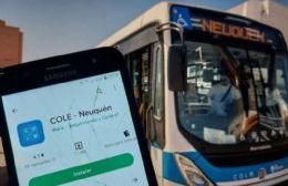 Entre gallos y media noche, aumentó el boleto de colectivos en Neuquén capital