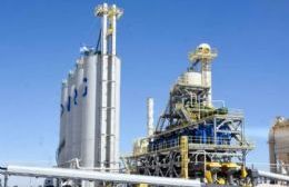 Quiebra, despidos y escándalo: la exempresa de la secretaria de Energía se desploma en Vaca Muerta