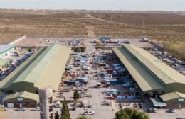 El Mercado Concentrador lanzará el Parque Agroalimentario de Neuquén