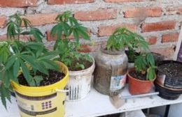 Secuestraron más de un kilo de cannabis y detuvieron a un hombre durante un allanamiento en Plottier