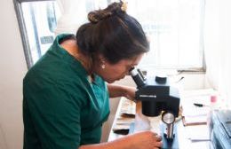 Ratifican que no hay presencia de dengue en Plottier