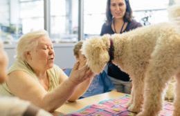Buscan habilitar la tenencia de mascotas en los centros de adultos mayores