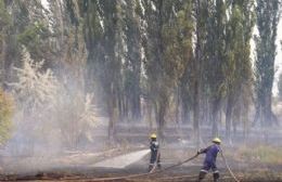 VIDEO | Valentina Sur en llamas: capital sufre el séptimo incendio en 10 días