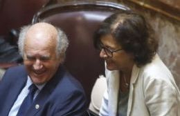 Parrilli y Sapag votaron contra Ficha Limpia y se alinearon con la impunidad