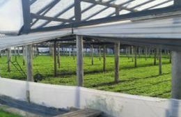 Productores hortícolas de Neuquén se capacitaron en Mar del Plata y proyectan más tecnología en el Alto Valle