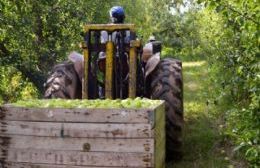 Inscriben para acceder a la exención del pago de impuestos al sector de la producción
