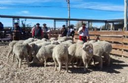Implementan nueva línea de financiamiento para pequeños productores