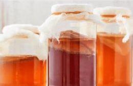 Dictan en la UNCo el curso "Ciencia y Kombucha"