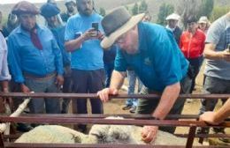 Ganadería regenerativa para mejorar la rentabilidad del campo