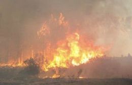 Piden que se prorrogue la emergencia ígnea en la provincia