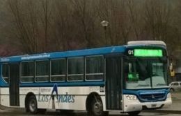 Los valores del boleto de transporte público tienen a dos ciudades neuquinas como los más caros