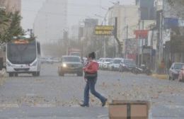 Neuquén: las fuertes ráfagas de viento complicaron a la ciudad