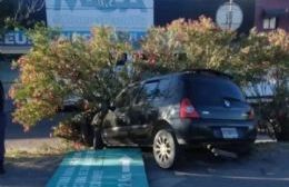 Choque en avenida Mosconi: conductor ebrio impacta contra un cartel vial