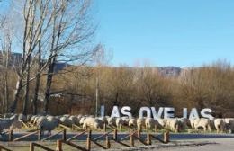 Detenidas por estafa: las acusan de gastar 2,6 millones con la tarjeta de un vecino en Las Ovejas