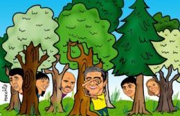 Neuquén 2025: la tormenta perfecta de candidaturas legislativas