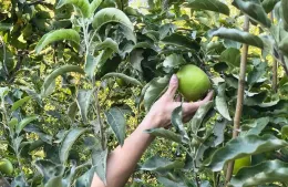 El sector frutícola respaldó el proyecto de ley para proteger las tierras productivas bajo riego